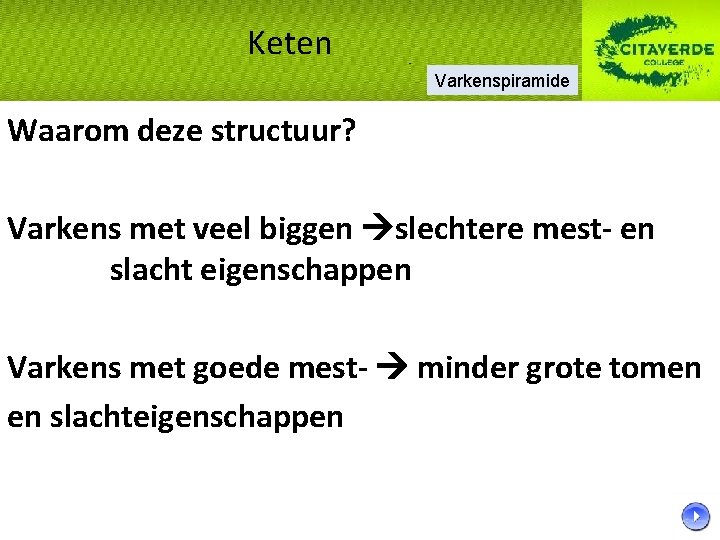 Keten Varkenspiramide Waarom deze structuur? Varkens met veel biggen slechtere mest- en slacht eigenschappen