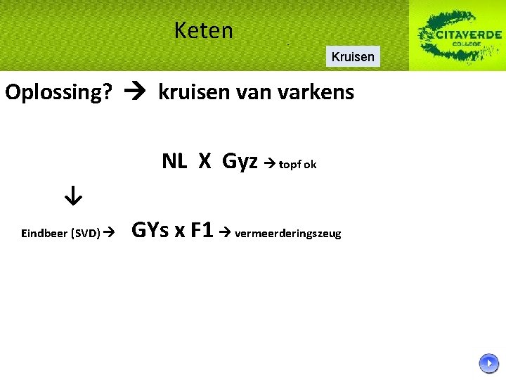Keten Kruisen Oplossing? kruisen varkens NL X Gyz topf ok ↓ Eindbeer (SVD) GYs Keten Kruisen Oplossing? kruisen varkens NL X Gyz topf ok ↓ Eindbeer (SVD) GYs