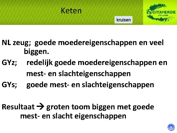 Keten kruisen NL zeug; goede moedereigenschappen en veel biggen. GYz; redelijk goede moedereigenschappen en