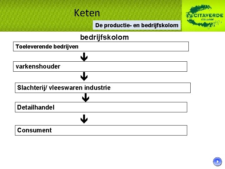 Keten De productie- en bedrijfskolom Toeleverende bedrijven varkenshouder Slachterij/ vleeswaren industrie Detailhandel Consument 