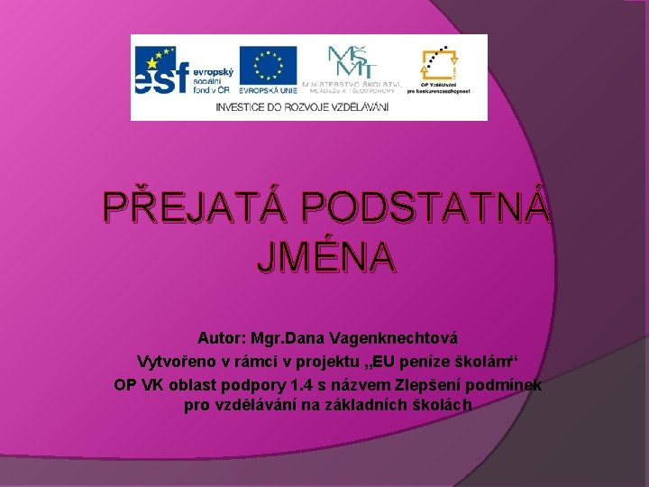 PŘEJATÁ PODSTATNÁ JMÉNA Autor: Mgr. Dana Vagenknechtová Vytvořeno v rámci v projektu „EU peníze