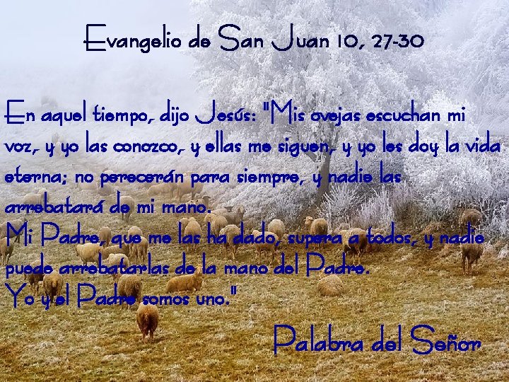 Evangelio de San Juan 10, 27 -30 En aquel tiempo, dijo Jesús: "Mis ovejas