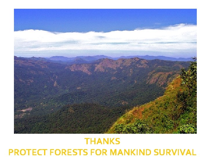 THANKS PROTECT FORESTS FOR MANKIND SURVIVAL 