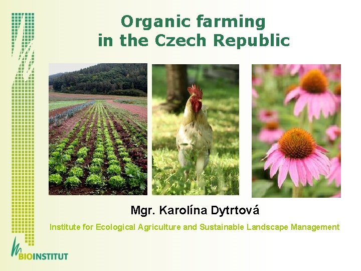 Organic farming in the Czech Republic Mgr. Karolína Dytrtová Institute for Ecological Agriculture and