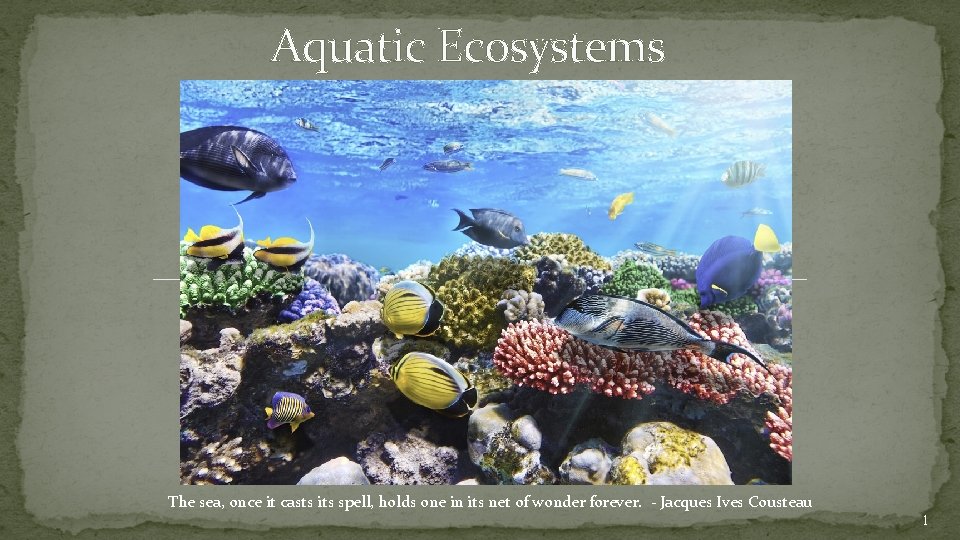 Aquatic Ecosystems The sea, once it casts its spell, holds one in its net