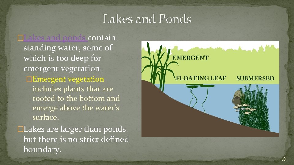 Lakes and Ponds �Lakes and ponds contain standing water, some of which is too