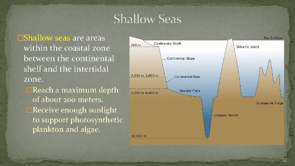 Shallow Seas �Shallow seas areas within the coastal zone between the continental shelf and