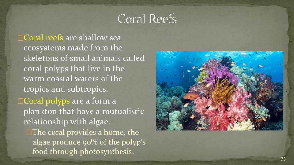 Coral Reefs �Coral reefs are shallow sea ecosystems made from the skeletons of small