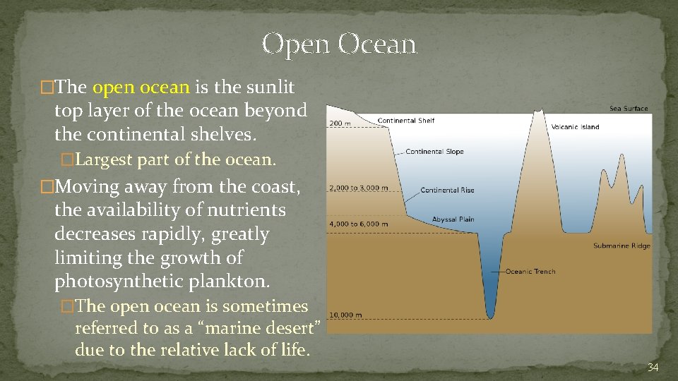 Open Ocean �The open ocean is the sunlit top layer of the ocean beyond