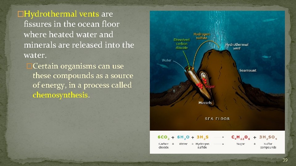 �Hydrothermal vents are fissures in the ocean floor where heated water and minerals are