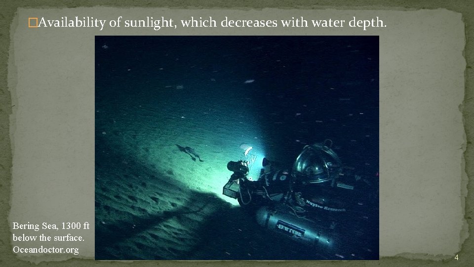 �Availability of sunlight, which decreases with water depth. Bering Sea, 1300 ft below the