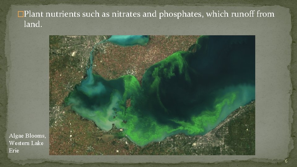 �Plant nutrients such as nitrates and phosphates, which runoff from land. Algae Blooms, Western