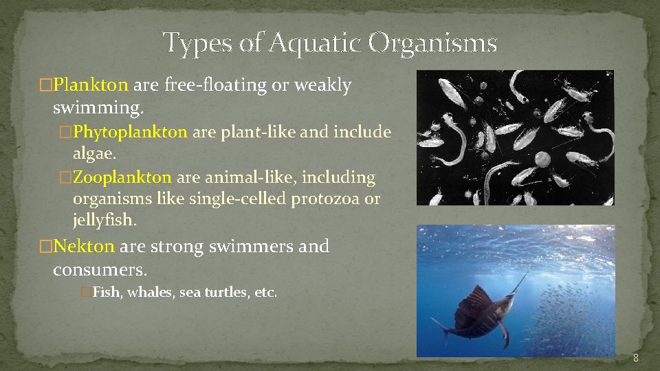 Types of Aquatic Organisms �Plankton are free-floating or weakly swimming. �Phytoplankton are plant-like and