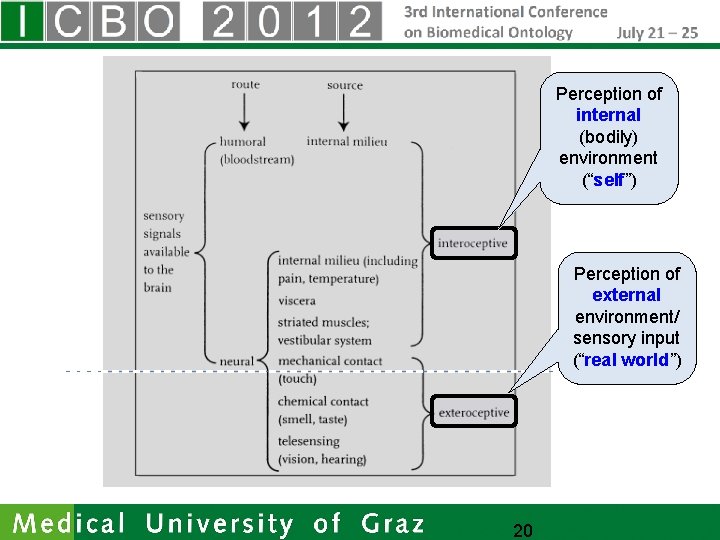 Perception of internal (bodily) environment (“self”) Perception of external environment/ sensory input (“real world”)