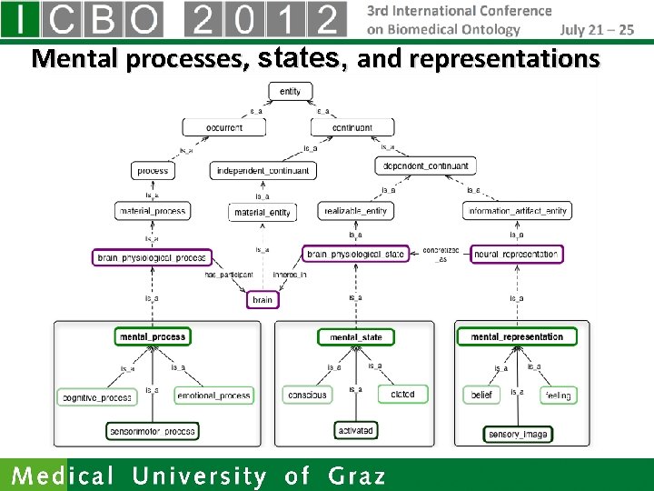 Mental processes, states, and representations 