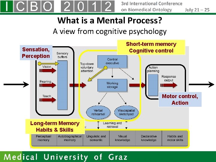 What is a Mental Process? A view from cognitive psychology Sensation, Perception Short-term memory