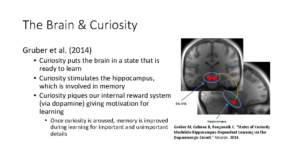 Are You Curious Yet Exploiting the brains untapped