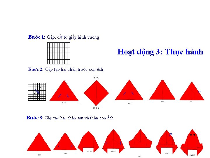 Bước 1: Gấp, cắt tờ giấy hình vuông Hoạt động 3: Thực hành Bước