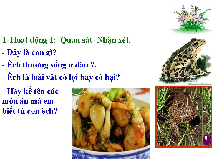 1. Hoạt động 1: Quan sát- Nhận xét. - Đây là con gì? -