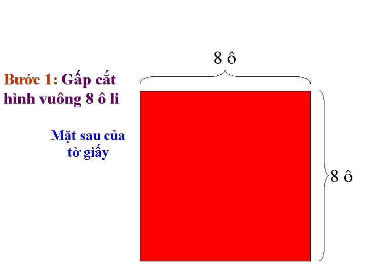 8ô Bước 1: Gấp cắt hình vuông 8 ô li Mặt sau của tờ