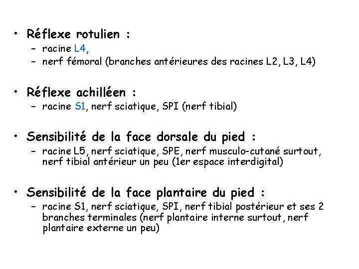  • Réflexe rotulien : – racine L 4, – nerf fémoral (branches antérieures