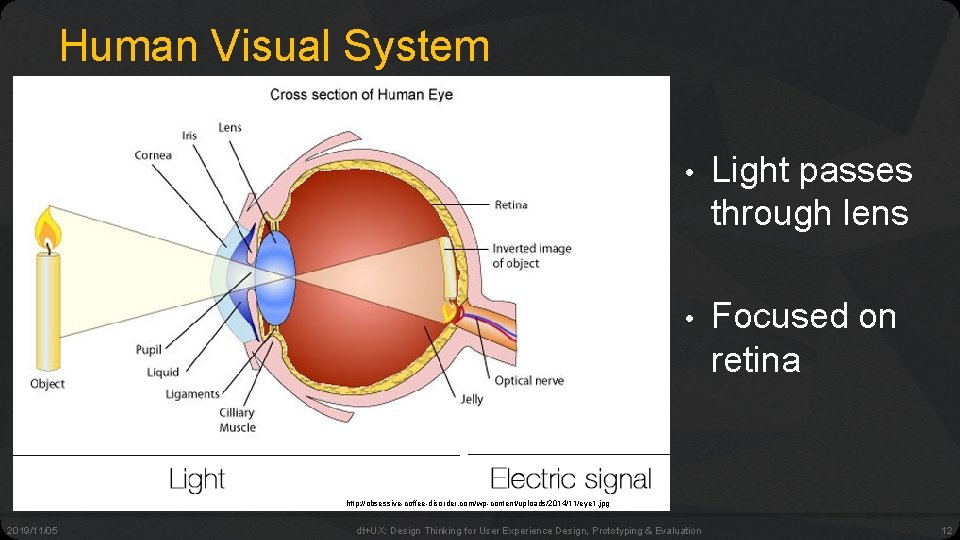 Human Visual System • Light passes through lens • Focused on retina http: //obsessive-coffee-disorder.