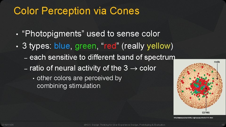Color Perception via Cones • • “Photopigments” used to sense color 3 types: blue,