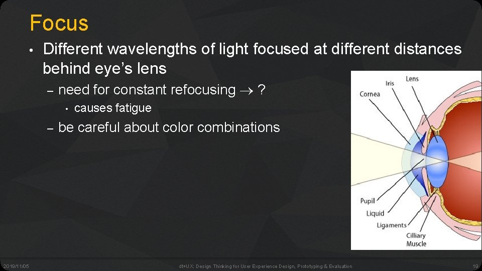 Focus • Different wavelengths of light focused at different distances behind eye’s lens –