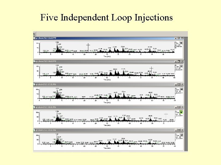 Five Independent Loop Injections 