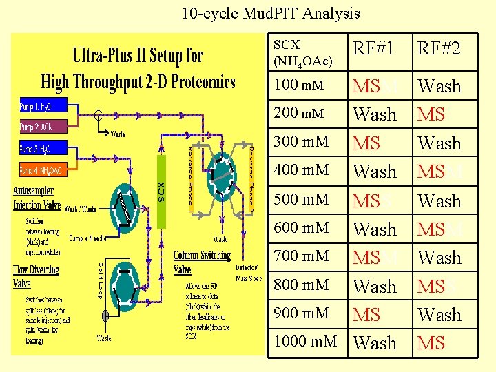 10 -cycle Mud. PIT Analysis SCX (NH 4 OAc) RF#1 RF#2 100 m. M