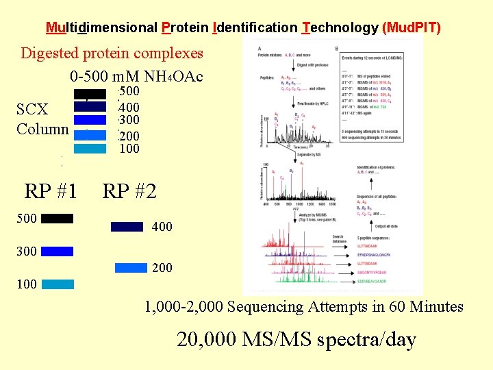 Multidimensional Protein Identification Technology (Mud. PIT) Digested protein complexes 0 -500 m. M NH