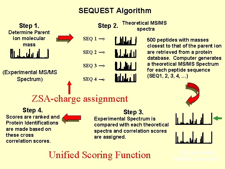 SEQUEST Algorithm Step 1. Determine Parent STEP 1. Ion molecular Step 2. Theoretical MS/MS