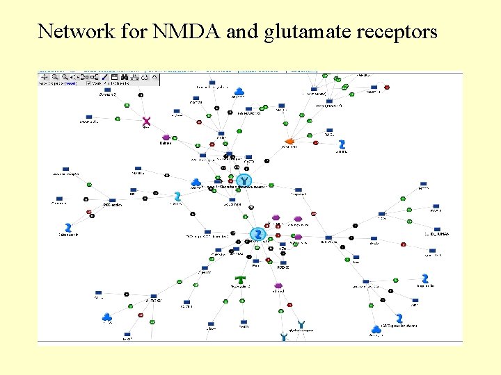 Network for NMDA and glutamate receptors 
