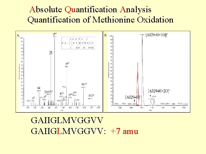 Absolute Quantification Analysis Quantification of Methionine Oxidation GAIIGLMVGGVV: +7 amu 