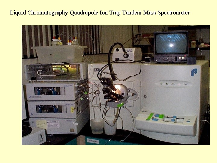 Liquid Chromatography Quadrupole Ion Trap Tandem Mass Spectrometer 