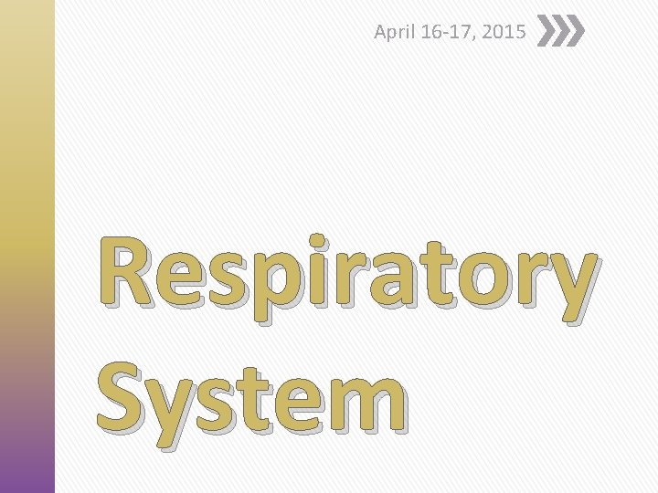 April 16 -17, 2015 Respiratory System 