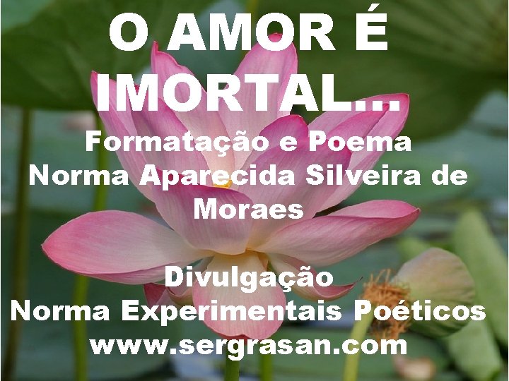 O AMOR É IMORTAL. . . Formatação e Poema Norma Aparecida Silveira de Moraes