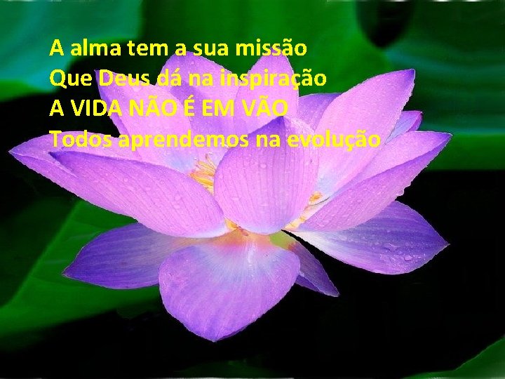 A alma tem a sua missão Que Deus dá na inspiração A VIDA NÃO
