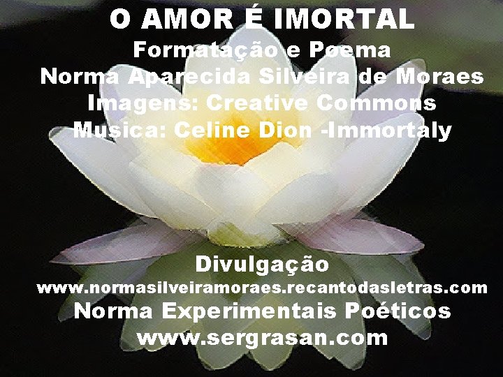 O AMOR É IMORTAL Formatação e Poema Norma Aparecida Silveira de Moraes Imagens: Creative
