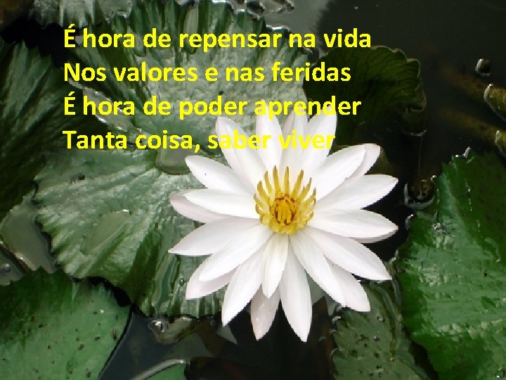 É hora de repensar na vida Nos valores e nas feridas É hora de