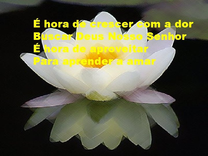 É hora de crescer com a dor Buscar Deus Nosso Senhor É hora de