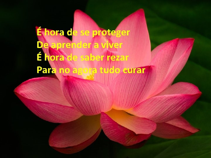 É hora de se proteger De aprender a viver É hora de saber rezar