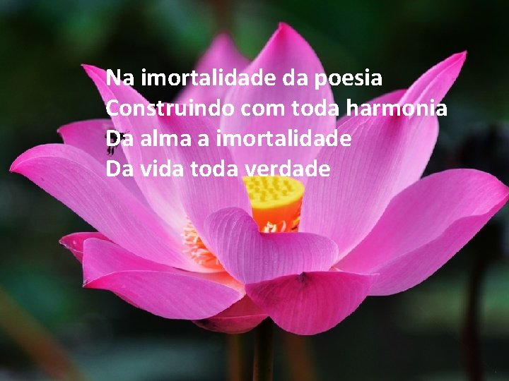 Na imortalidade da poesia Construindo com toda harmonia Da alma a imortalidade Da vida