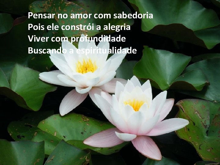 Pensar no amor com sabedoria Pois ele constrói a alegria Viver com profundidade Buscando