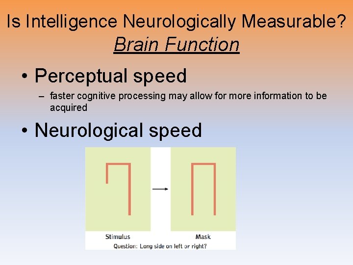 Is Intelligence Neurologically Measurable? Brain Function • Perceptual speed – faster cognitive processing may Is Intelligence Neurologically Measurable? Brain Function • Perceptual speed – faster cognitive processing may