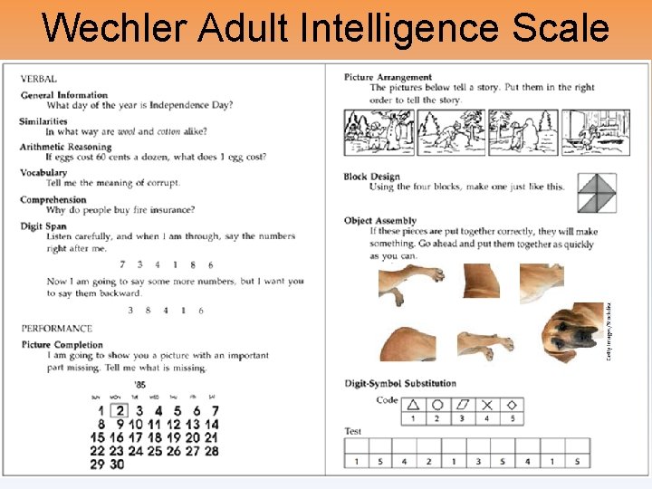Wechler Adult Intelligence Scale Wechler Adult Intelligence Scale