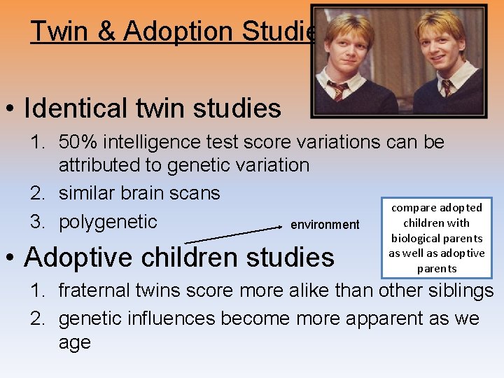 Twin & Adoption Studies • Identical twin studies 1. 50% intelligence test score variations Twin & Adoption Studies • Identical twin studies 1. 50% intelligence test score variations