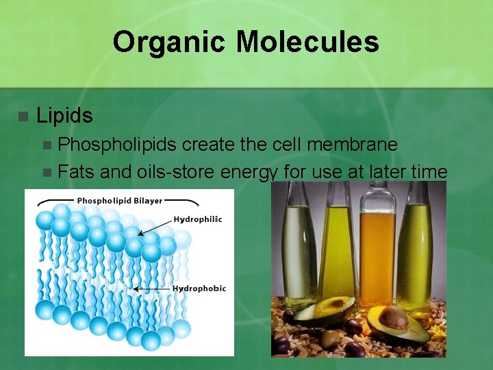 Organic Molecules n Lipids Phospholipids create the cell membrane n Fats and oils-store energy Organic Molecules n Lipids Phospholipids create the cell membrane n Fats and oils-store energy