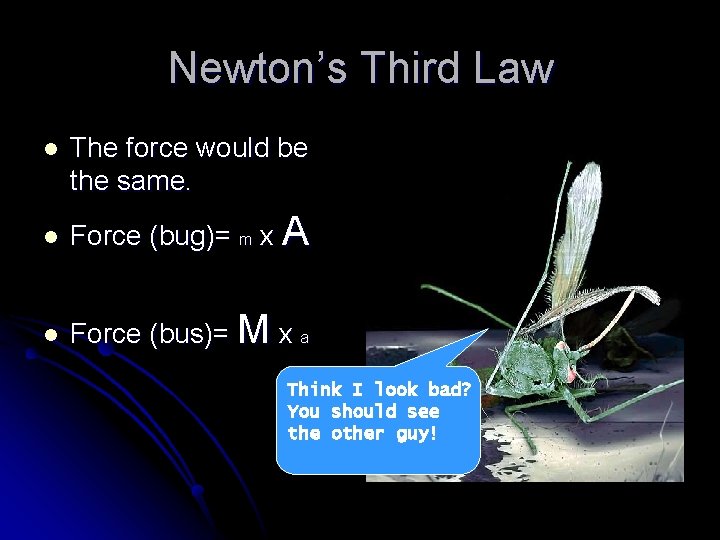 Newton’s Third Law l The force would be the same. l Force (bug)= m