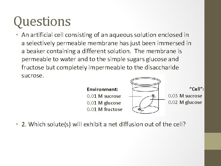 Questions • An artificial cell consisting of an aqueous solution enclosed in a selectively